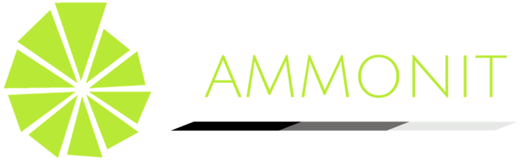 Ammonit Construction